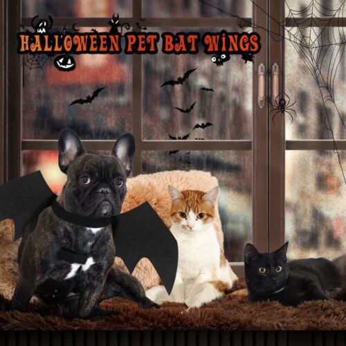 Halloween Pet Cat Bat Wing Cat Dog Costume Vampire Cute Dress Cosplay Party - Picture 9 of 9