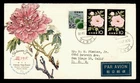 DR WHO 1961 JAPAN FDC FLOWER NCC CACHET COMBO M81213