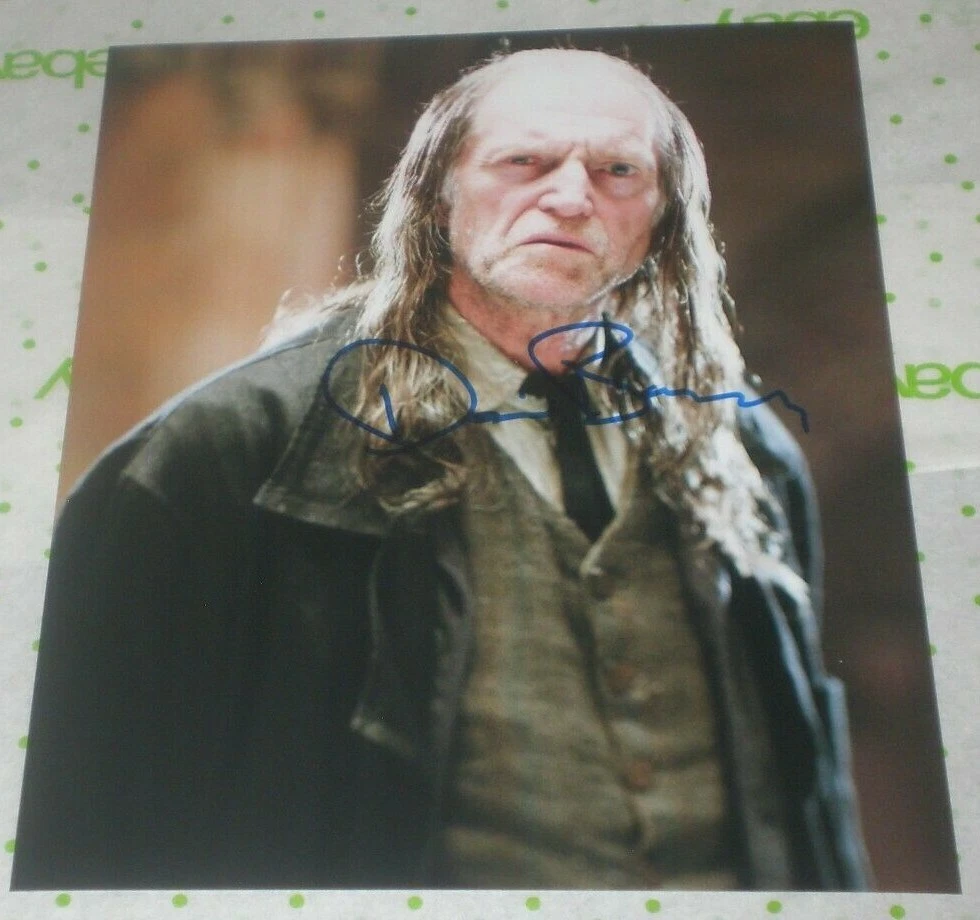 David Bradley Harry Potter