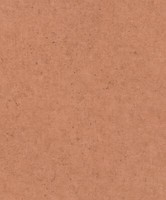 Rasch Tapete 520880 Concrete Vliestapete Betonoptik Terra (4,02€/1Qm)