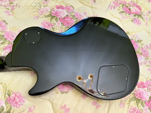 2005 Gibson Les Paul Special Ebony - Foto 12 di 24