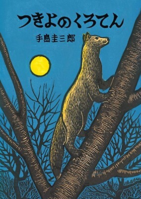 Keizaburo Teshima: Moonlit night sunspots - Picture book