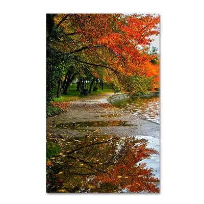 ''Tidal Basin Autumn 1'' Artwork by CATeyes, 22 by 32-Inch