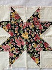 Vintage Star Quilt Blocks (23) — photo 4