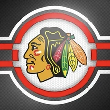 1993-94 Chicago Blackhawks Hockey Coke Team Issued Postcards  Post Cards NHL