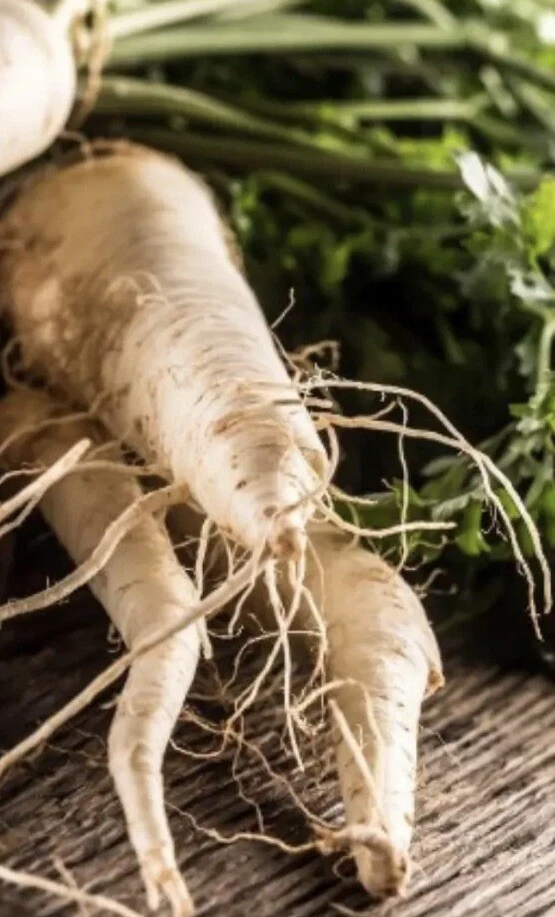 2000 Hollow Crown Parsnip Seeds Vegetable Garden NON-GMO (2,000 Seeds Included) - Image 2 of 2