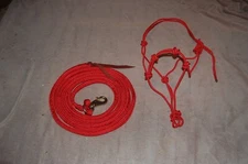 14' RED LEAD ROPE WITH BULL SNAP & STIFF 4-KNOT HALTER FOR ANDERSON TRAINING