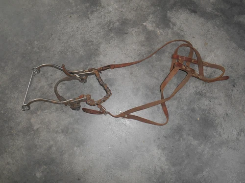 Long Shank Hackamore with Chain Noseband & Headstall