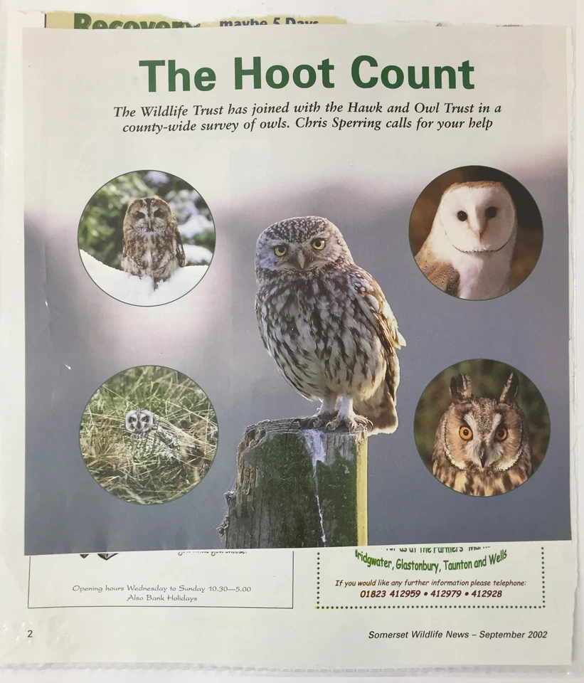 Piezas de tarjetas cubiertas de vida silvestre de aves UK2255 Foto 3 de 4