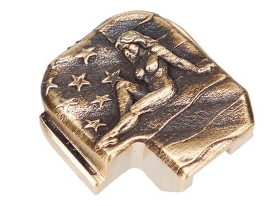 NDZ Sig P365 P365XL X Macro Fuse Brass 3D Slide Cover Back Plate