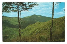 North Carolina NC Postcard Cold Mountain Pisgah Forest Wagon Road Gap Blue Ridge