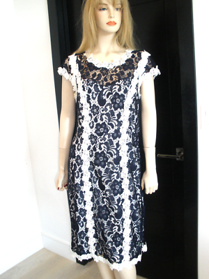 knee length dresses for ladies Sydney High Neck Scalloped Lace Midi Dress