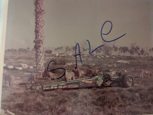Tom McEwen Jungle Hot Wheels  NHRA  8X10 Drag Racing