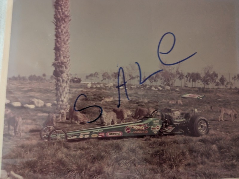Tom McEwen Jungle Hot Wheels  NHRA  8X10 Drag Racing