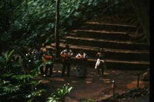 Original 1996 35mm Slide, "Smith's Fern Grotto Wailua River Cruise", Hawaii