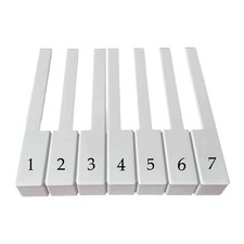 Piano Keytops Replacement Repairing Piano Key Covers Repair Tools