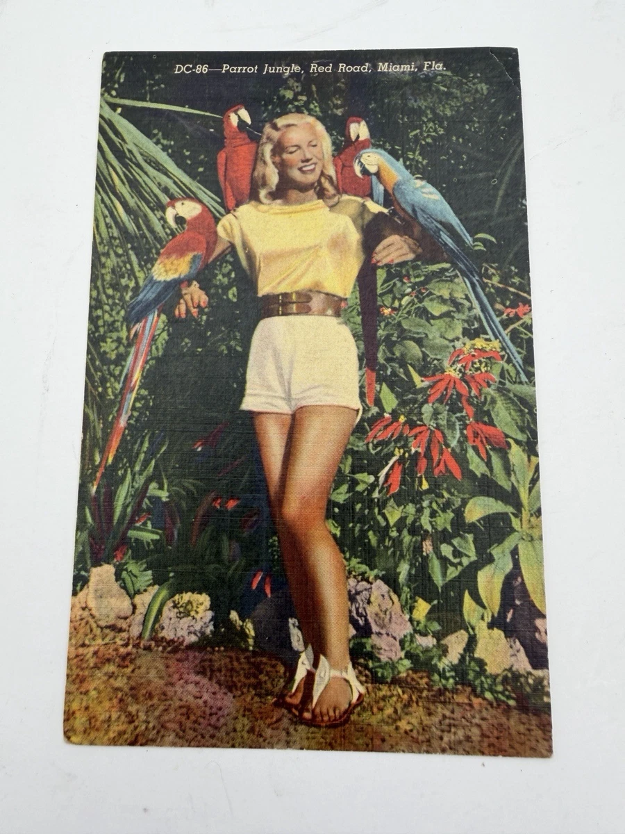 Original Collectible Pin-Up Arts Pre-1970 for sale | eBay