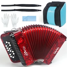 22 Key 8 Bass Accordion, Acordeones Para Adultos, Stable Pitch Hand Polished ...