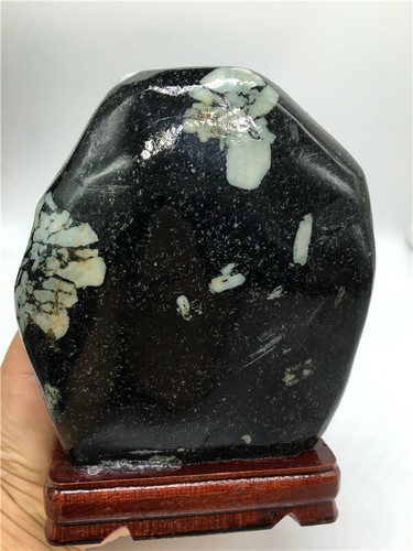 1251g BONSAI SUISEKI PEONY STONE FUGUI FLOWER BLOSSOM-SURPRISE VIEW + stand U51 - Picture 1 of 9