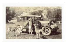 Photos Only/Mini(19):Sequoia Natl Pk (3),SanGabriel Mission(10)Ramon's(6)  (518)