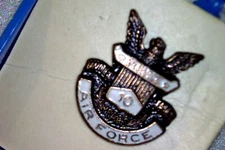 US Air Force 10 year service screw pin
