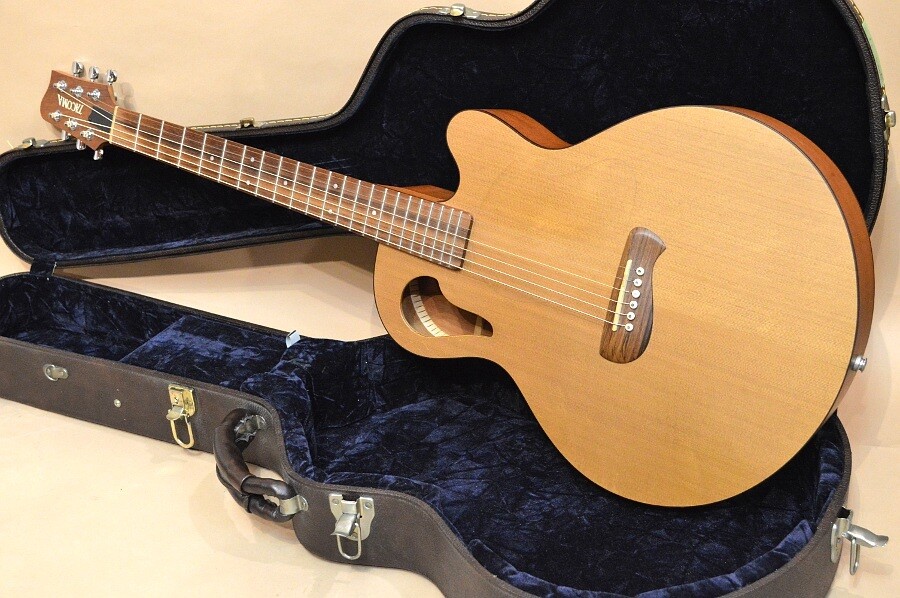 TACOMAタコマ C1C エレアコ ⭕️商品の説明は必ずお読みください TACOMA C1C 2005 (2005) | eBay
