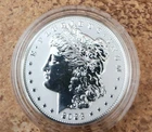 2023 s reverse proof Morgan dollar in original capsule