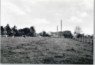 50723024 - 2170 Hemmoor Cow Pasture