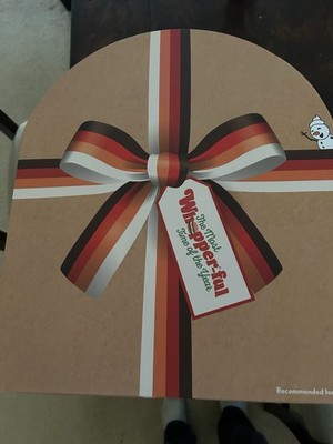 IN HAND! New 2025 BK  Advent Calendar!