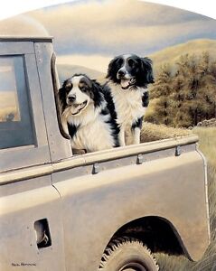 Nigel Hemming BACK SEAT DRIVER Border Collies On Landrover Land Rover Sheep Dogs