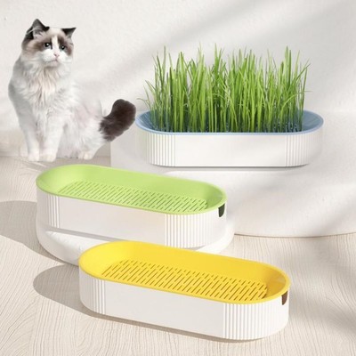 Für einfaches Wachstum Hydro ponic Soilless Bepflanzung Katzen-Gras-Topf-Set