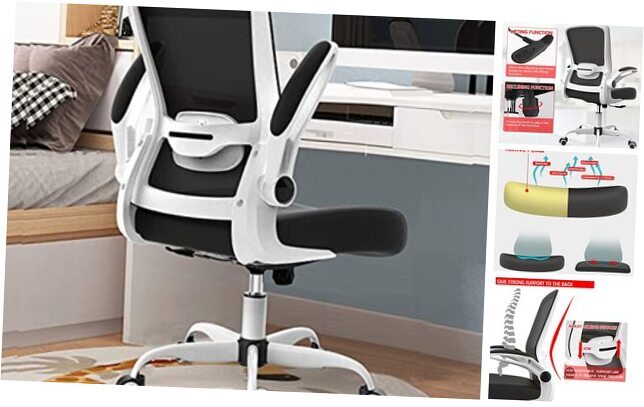 Office Chair, Ergonomic Desk Chair with Adjustable Lumbar Support, Multi Modern