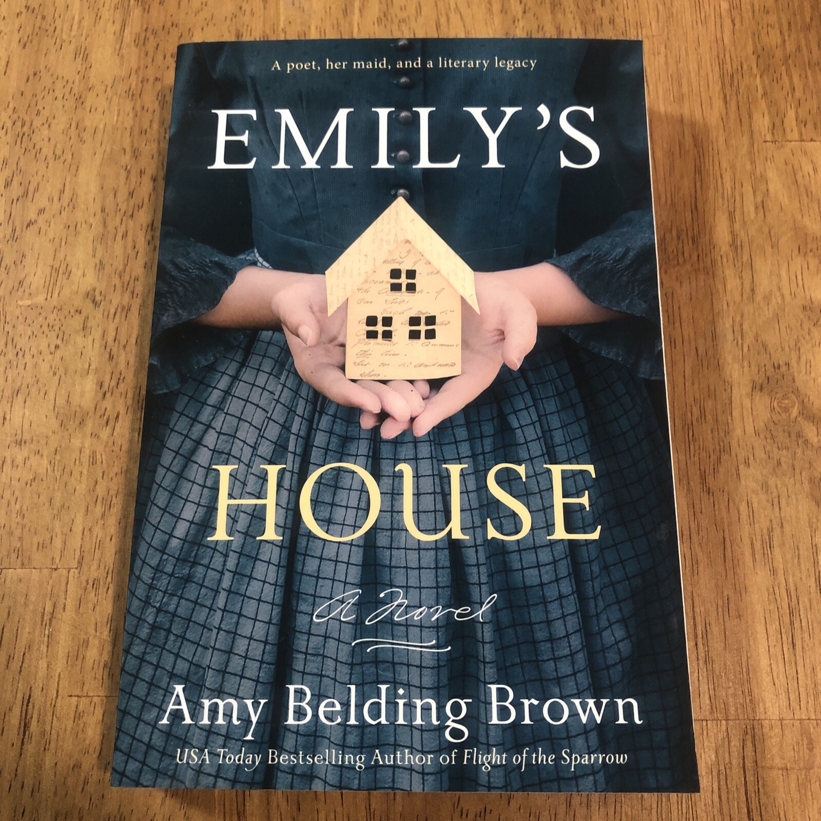 Emily's House by Amy Belding Brown (2021, Trade Paperback) for sale ...