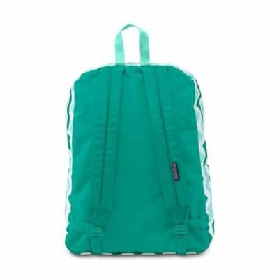 JanSport Superbreak Backpack Js00t5010c6 Aqua Dash Zou Bisou for sale  online | eBay