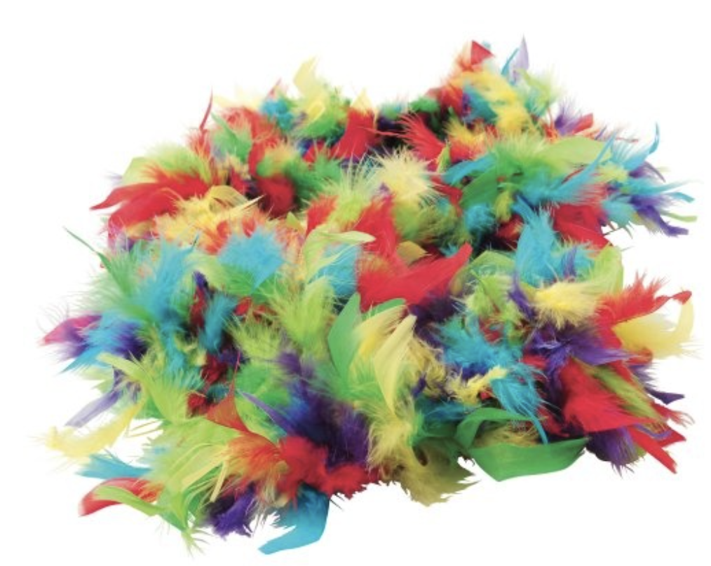 6 Ft Long Multicolor Feather Boa eBay
