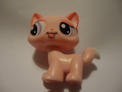 Figurine Petshop Chat Maine Coon N°1313 Occasion - Figurine Collection Chat Jouet Ancien