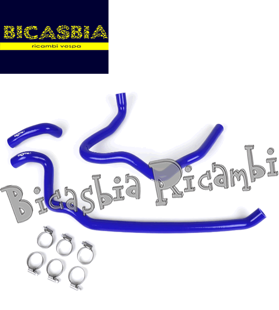 Imagen 1 de 1