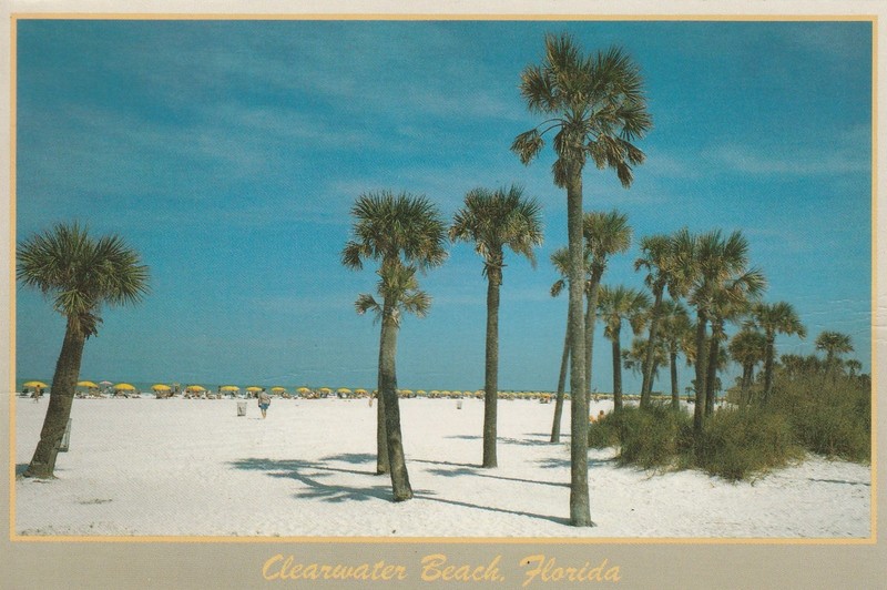 Vintage Postcard Clearwater Beach Florida Unused