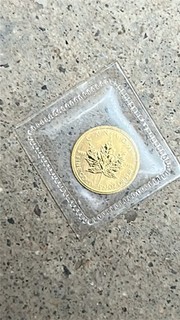 2002 1/20th oz Canadian Gold Maple Leaf Coin