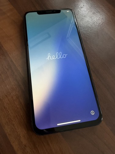 Apple iPhone XS Max A2101 256GB Space Grau Ohne Simlock BITTE LESEN