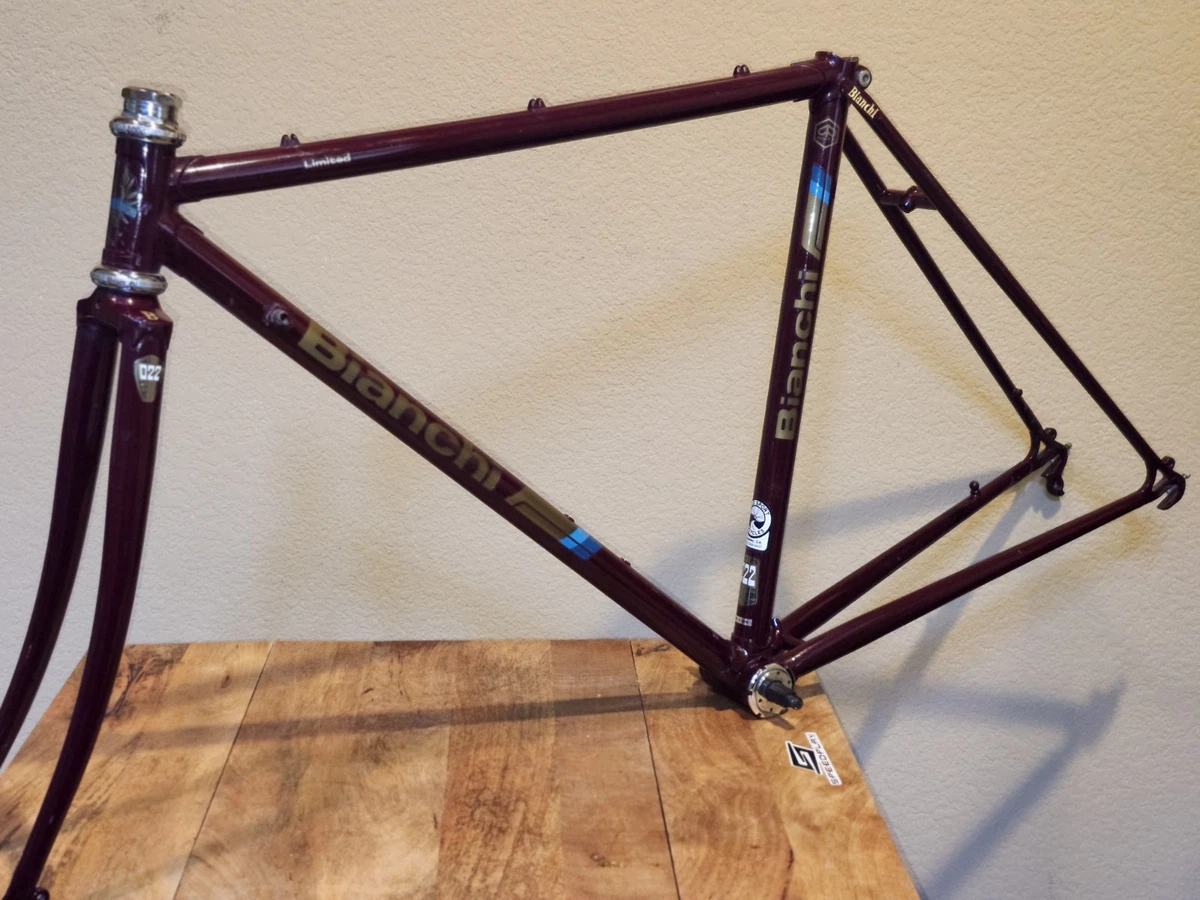 Fourche Vintage Bianchi 61 Cm – Cadre Acier Cramponné, Tige Cinelli, Dura-Ace, Campagnolo