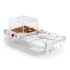 Ant Farm Mushroom Kit (Anthill, Formicarium, Educational, Ants)