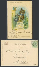 LOUIS WAIN Cat Kitten A Pretty Kettle of Fish Bowl Fishbowl 1905 Old UB Postcard