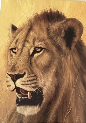 Extremely Rare Registered Andrew Bone Print Signed in Plate Excellent Condition