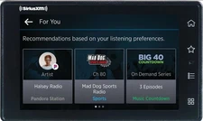 SiriusXM Tour Replacement Receiver Only (No Dock, Plug, Antenna)
