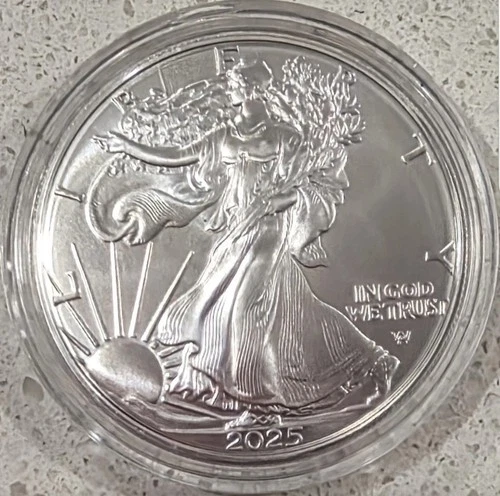 2025 1 oz American Silver Eagle Coin BU In Capsule