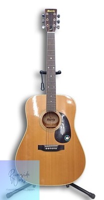 MORRIS Akustikgitarre W-20