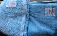 WIMBLEDON by Welspun Set of 2 Bath Towels Egyptian Cotton Lux Light Blue 30x54"