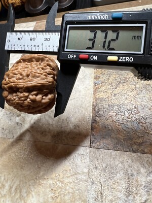 文玩核桃 三角白獅子 Pair of Match Chinese Health Walnut 40×40×37mm精配文玩核桃～三角白