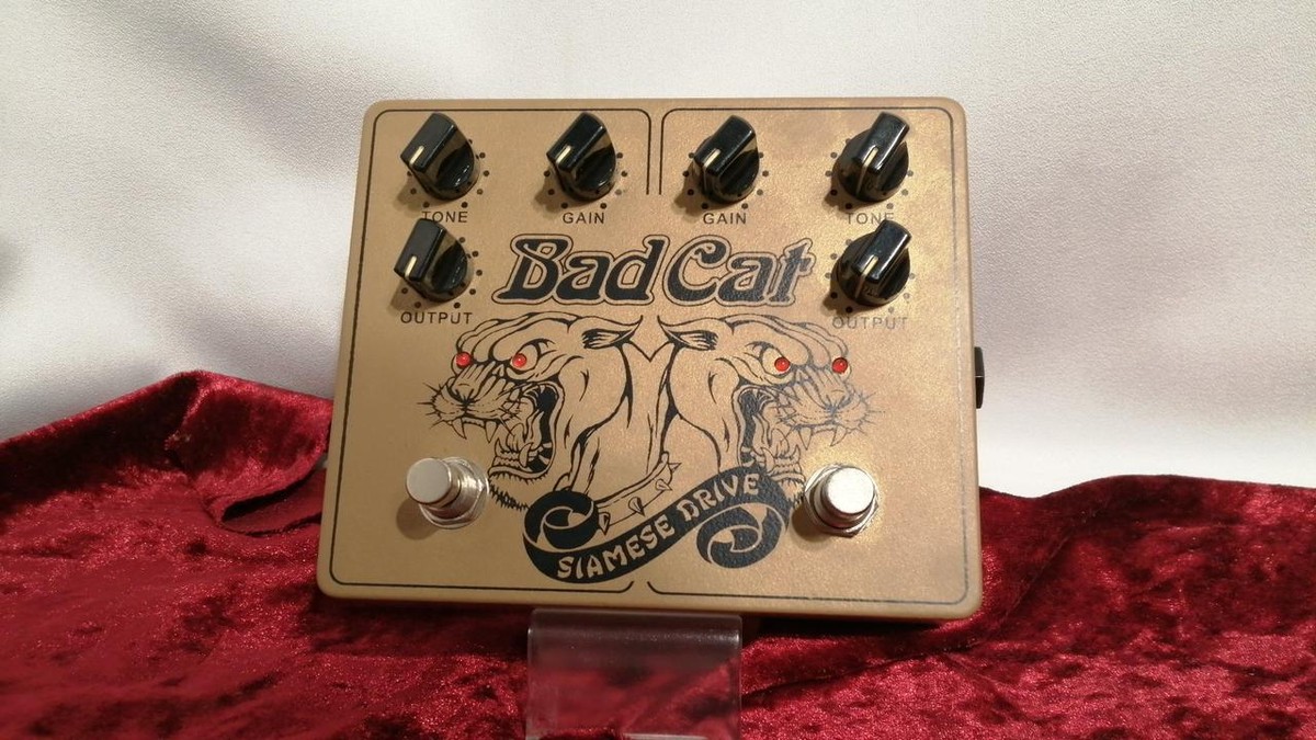 Bad Cat Siamese Drive Gold Overdrive Pedal Guitar Effects | eBay